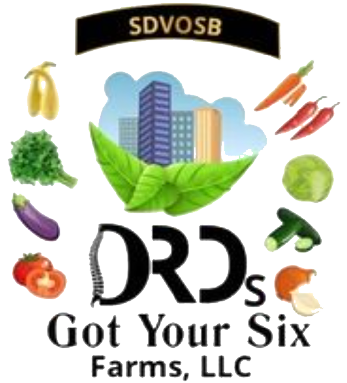 Logo Logo of DRD's Got Your Six Farms, LLC, featuring various vegetables like broccoli, eggplant, tomatoes, and peppers, alongside a city skyline and green leaves, symbolizing urban agriculture and fresh produce. The logo also includes the designation "SDVOSB" indicating it is a service-disabled veteran-owned small business.
